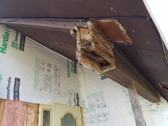 Photo-Jan-11-10-28-48-AM