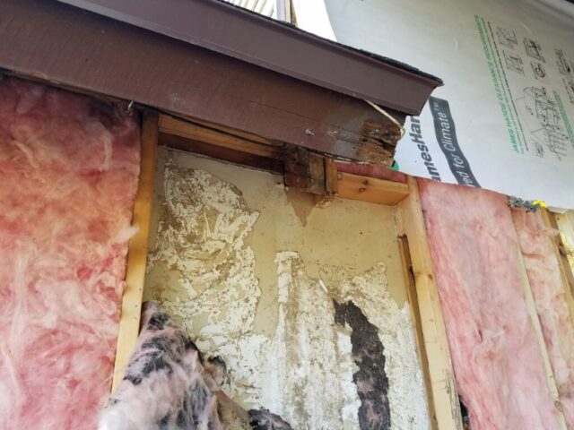 Photo-Jan-11-10-28-53-AM