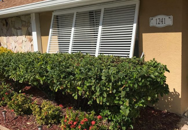 Storm Shutters